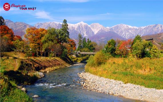 Tour Thiết Kế Nhật Bản Mùa Thu 2025: Cung Đường Romantic